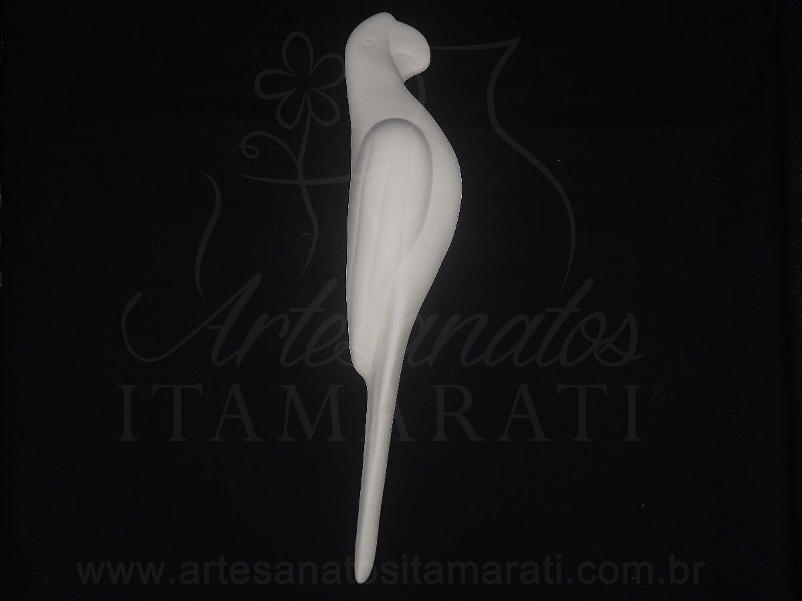 Arara Parede